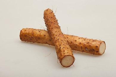 《艾尔登法环：黄金树幽影》Steam好评如潮 有史以来最强DLC